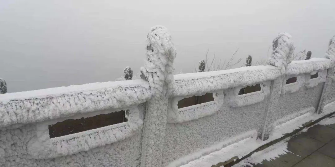 速冻的浪漫，这波冬日颜值“杀”我！