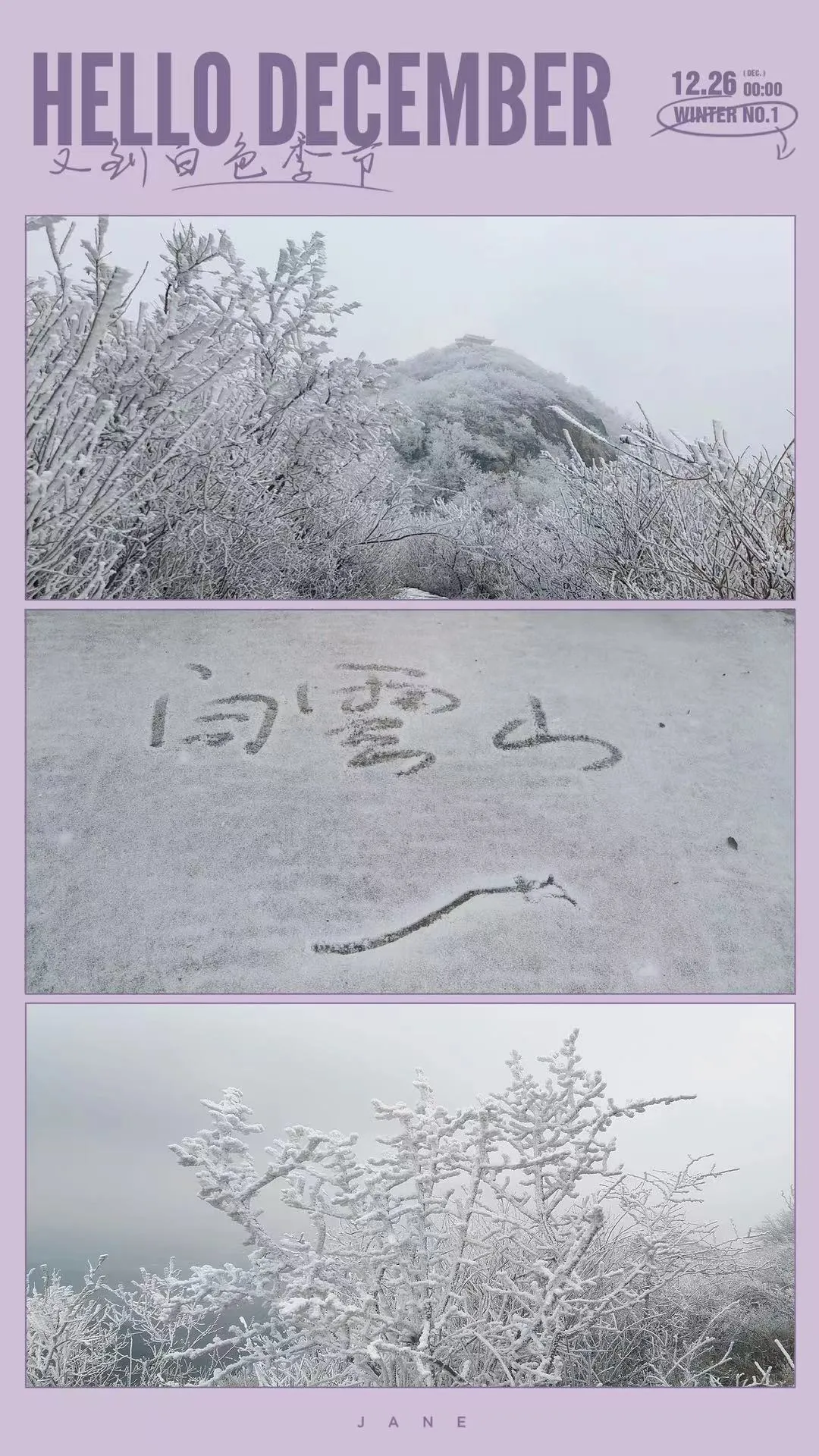 速冻的浪漫，这波冬日颜值“杀”我！