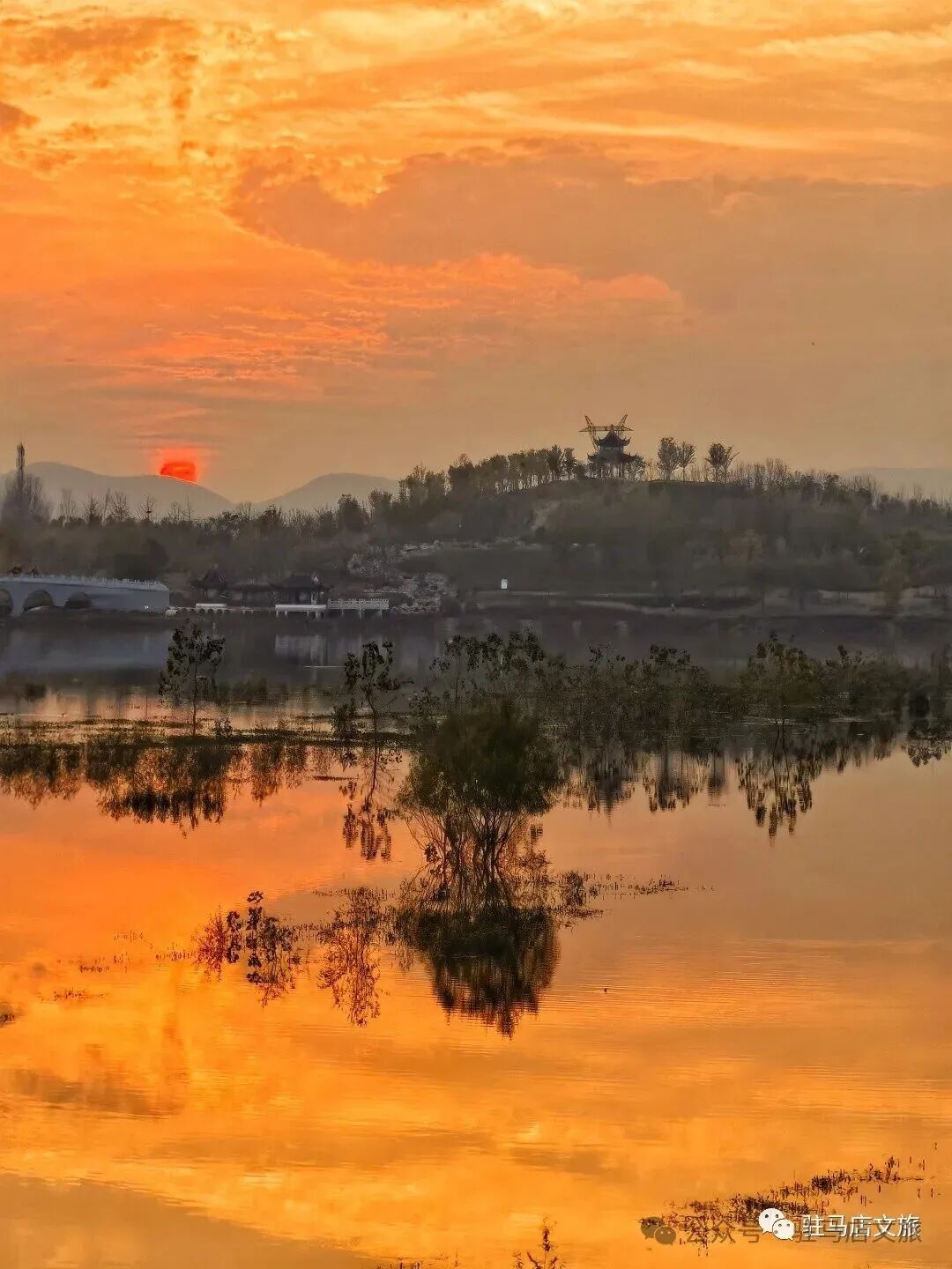 全部免费！在驻马店，收藏冬日的第一缕暖阳