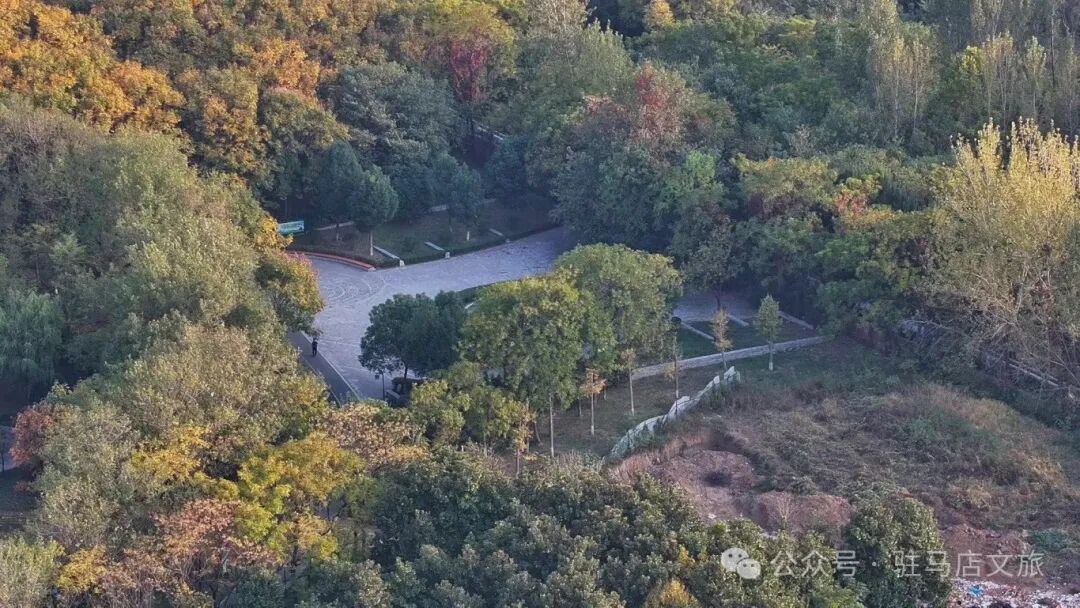 全部免费！在驻马店，收藏冬日的第一缕暖阳