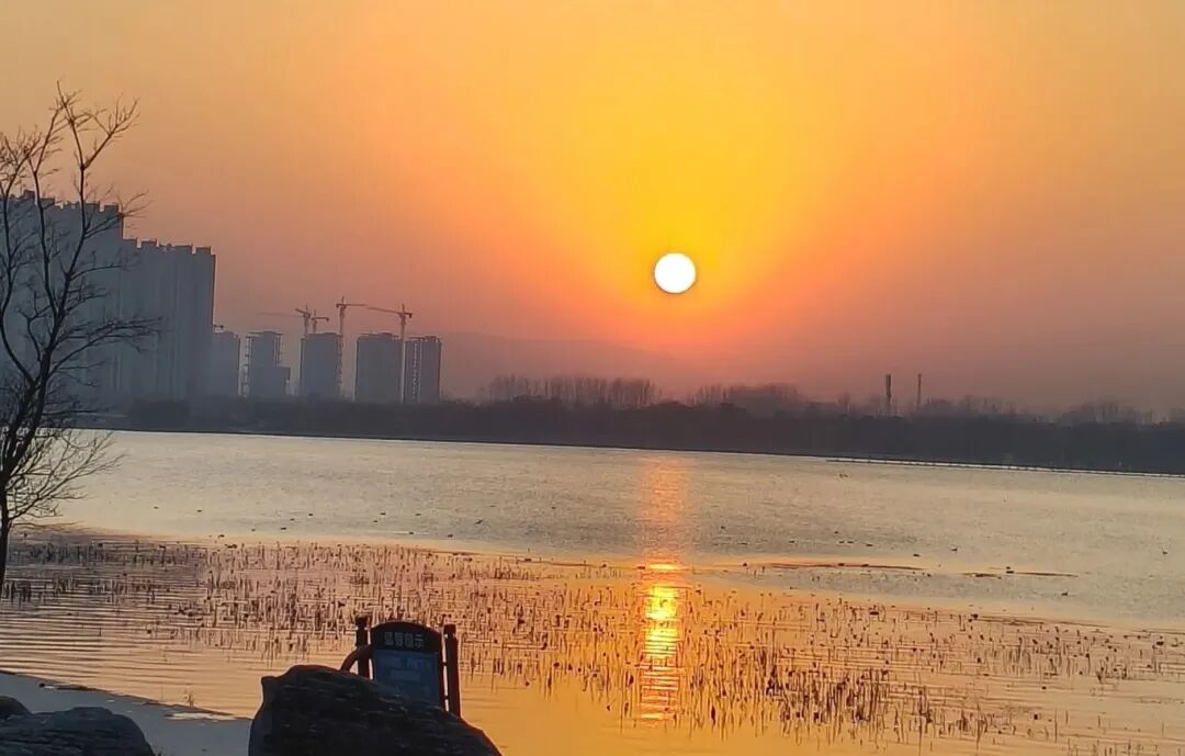 全部免费！在驻马店，收藏冬日的第一缕暖阳