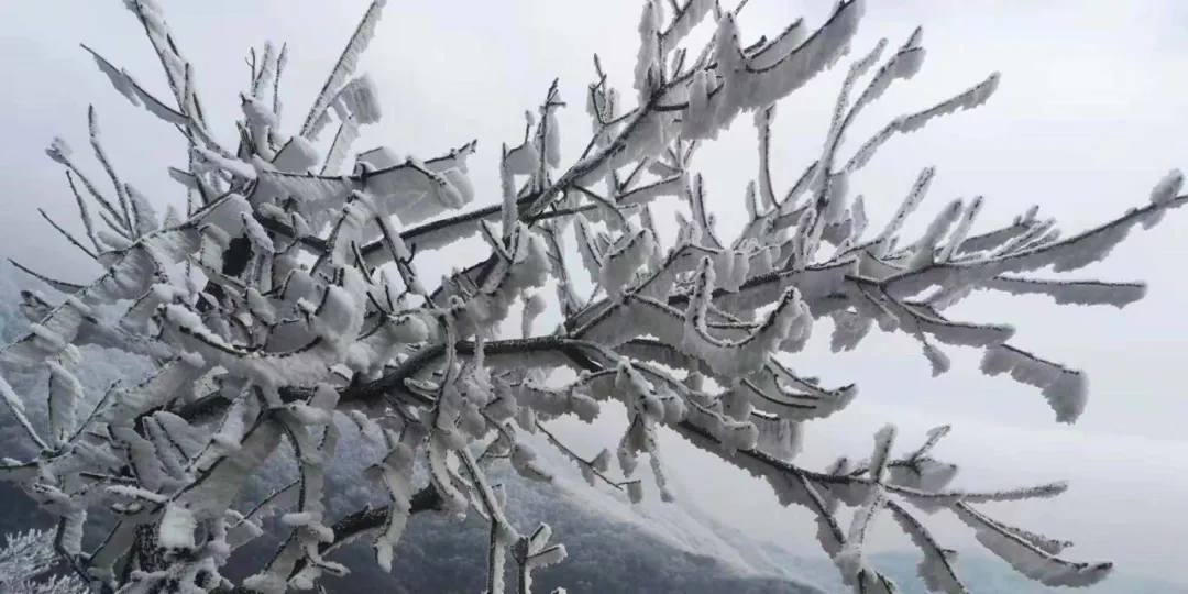 速冻的浪漫，这波冬日颜值“杀”我！