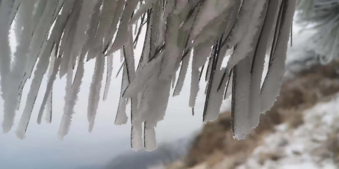 速冻的浪漫，这波冬日颜值“杀”我！