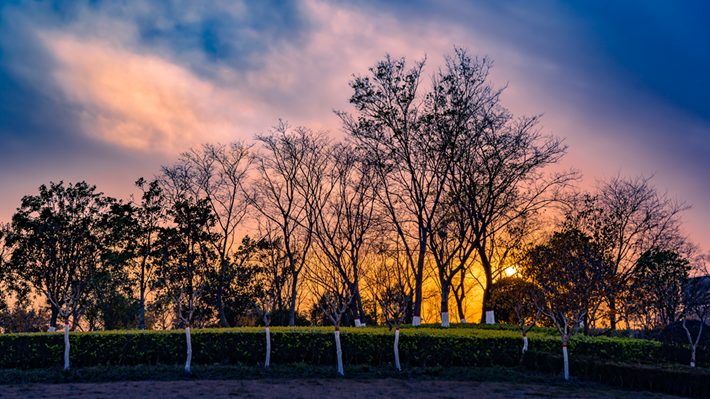 县区动态 | 金辉染玉带 树影绘冬卷