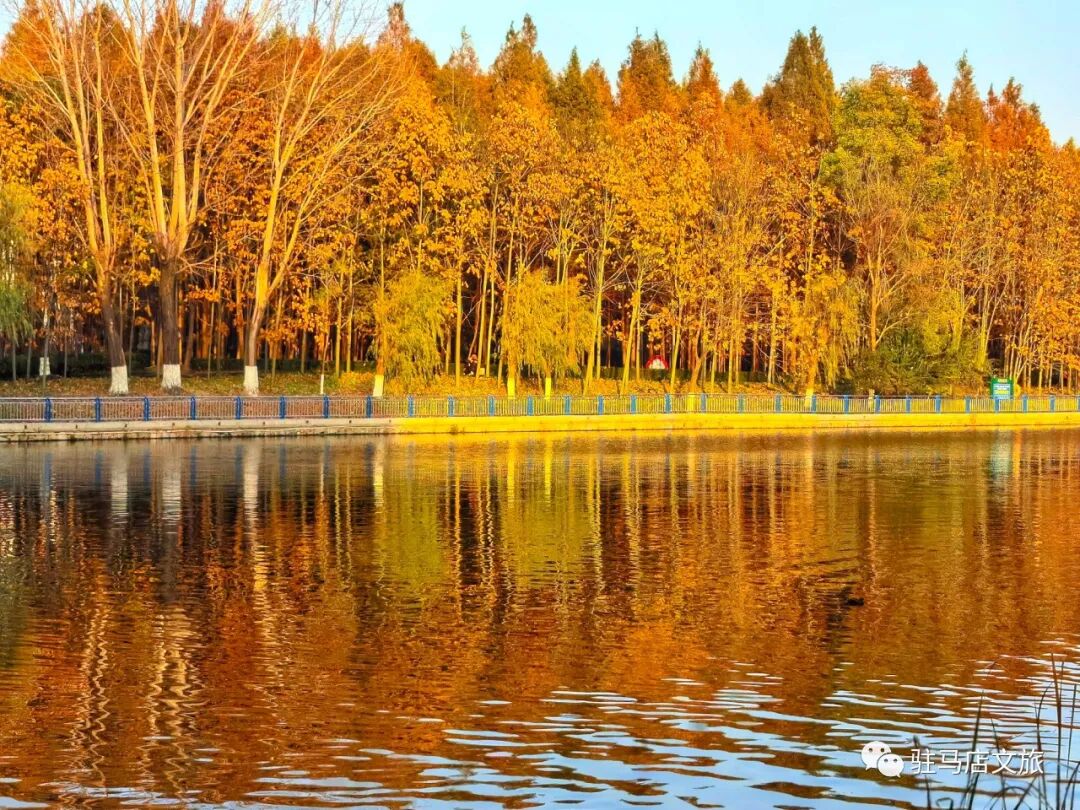 全部免费！在驻马店，收藏冬日的第一缕暖阳