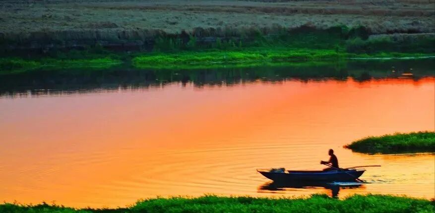 冬日限定！万鸟齐飞，这幅生态画卷美到心醉