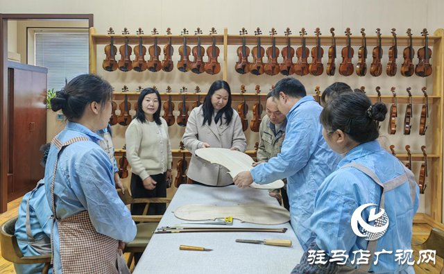 郭新社：从打工妹到领雁人 琴弦拨动家乡“致富曲”​​​​​​​