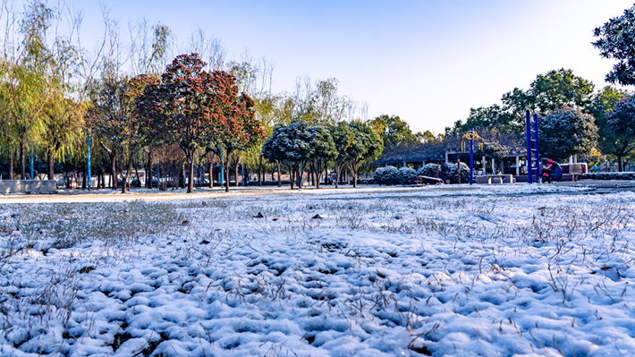 县区动态 | 雪落无声 诗意满园