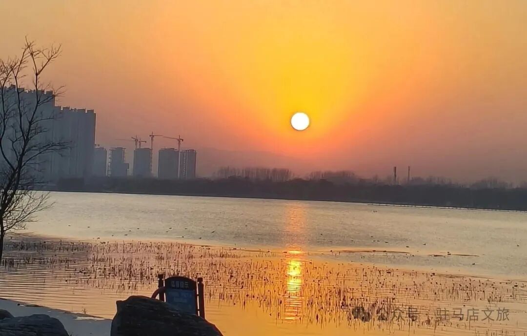 驻马店的冬日浪漫，藏在这些地方