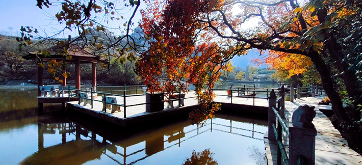 驻马店的冬：藏在烟火与风雪里的温柔