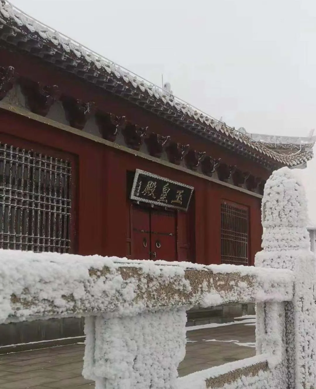 速冻的浪漫，这波冬日颜值“杀”我！