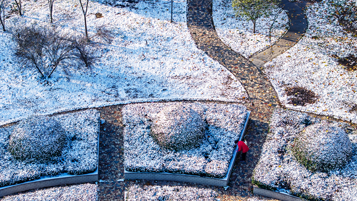 县区动态 | 雪落无声 诗意满园