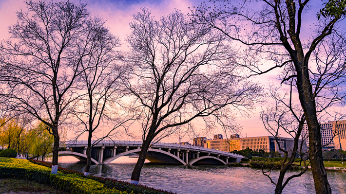 县区动态 | 金辉染玉带 树影绘冬卷