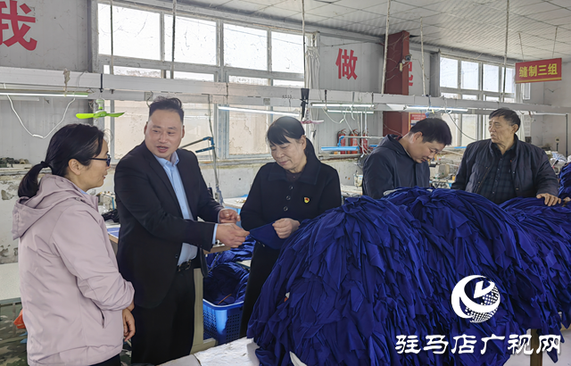 泌阳县羊册镇陶庄村：“点线面”工作法 绘就立体党建新画卷