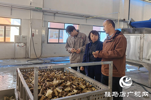 龟鹿药业:深学笃行 以党的二十届四中全会精神引领发展新征程