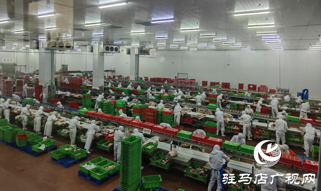 上农实业:冲刺四季度 保障“肉案子”