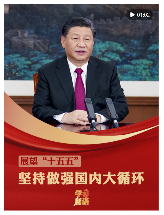学习新语·展望“十五五”｜坚持做强国内大循环