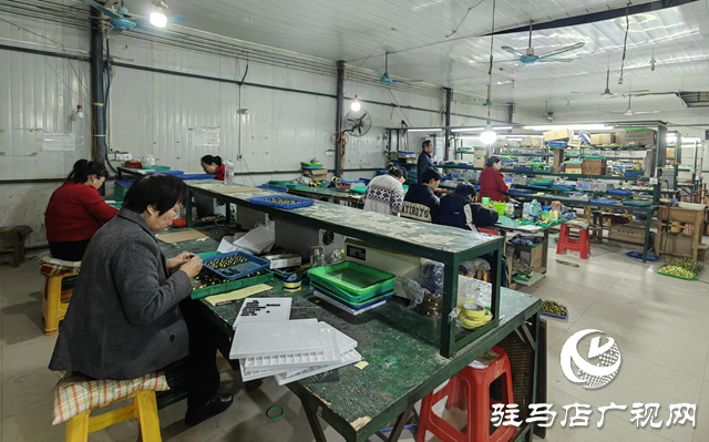 泌阳县羊册镇陶庄村：“点线面”工作法 绘就立体党建新画卷