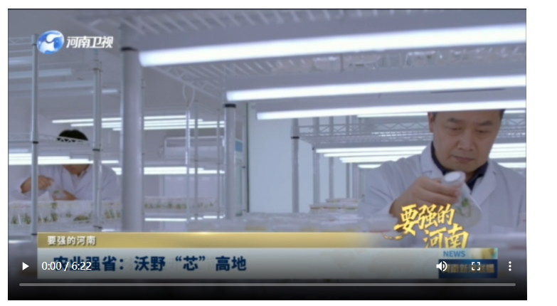 农业强省：沃野“芯”高地丨要强的河南