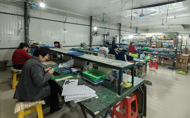 泌阳县羊册镇陶庄村：“点线面”工作法 绘就立体党建新画卷