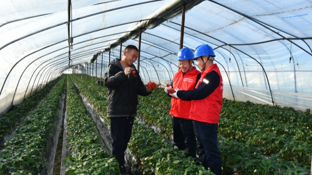 国网确山县供电公司：为“莓”好生活充满电