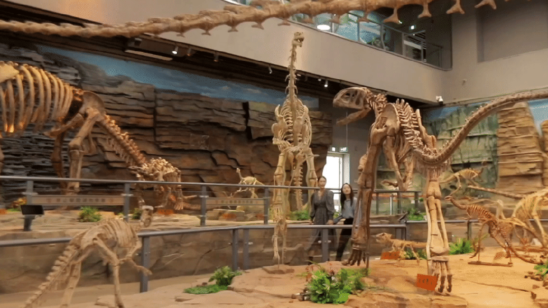 新年第一站，我先冲了！