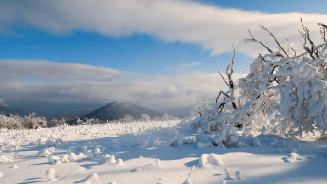 新年第一站，我先冲了！