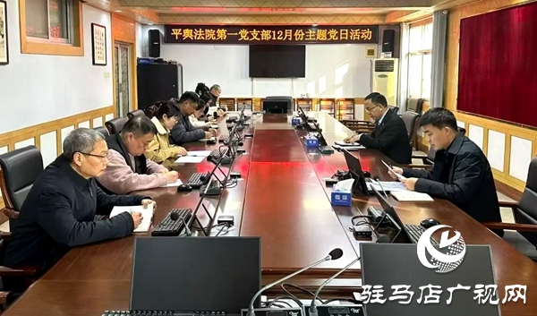 平舆县人民法院开展“深化理论学习，凝聚奋进力量”主题党日活动