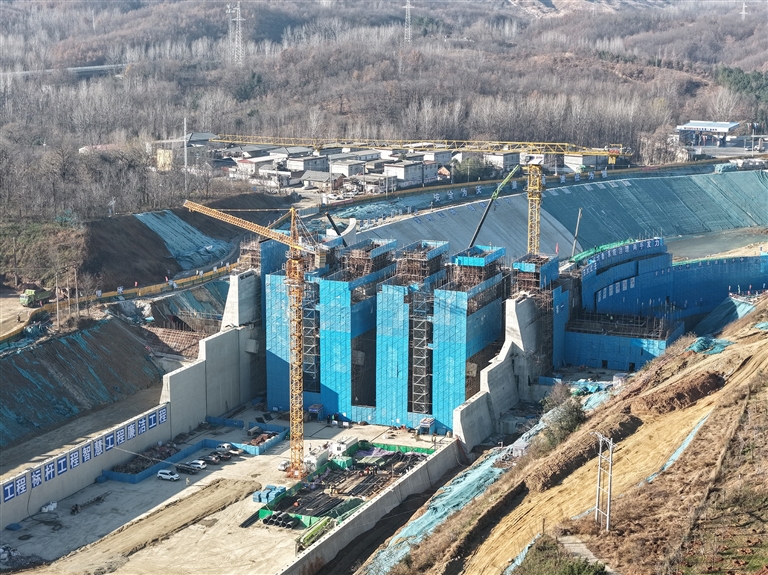 晚播小麦冬日“成长录”