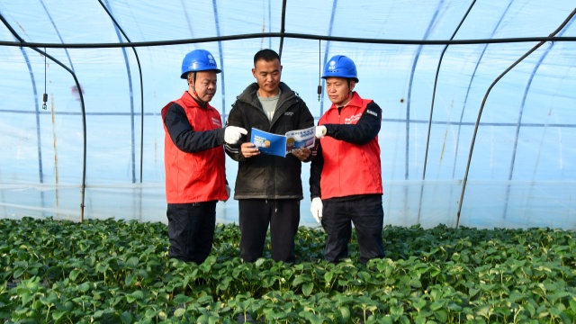 国网确山县供电公司：为“莓”好生活充满电