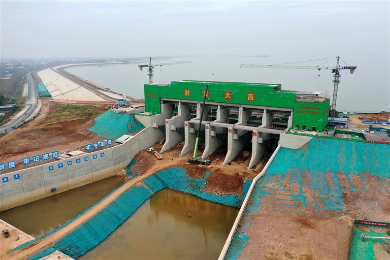 晚播小麦冬日“成长录”