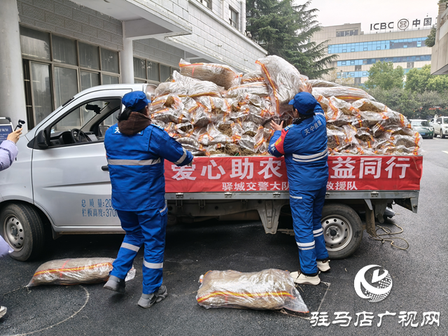 千亩红薯滞销农户愁 救援队&ldquo;带货&rdquo;传温情