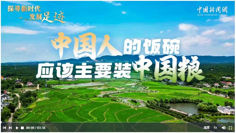 探寻新时代发展足迹｜中国人的饭碗应该主要装中国粮