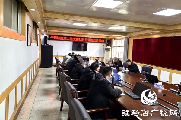 平舆县人民法院开展“深化理论学习,凝聚奋进力量”主题党日活动
