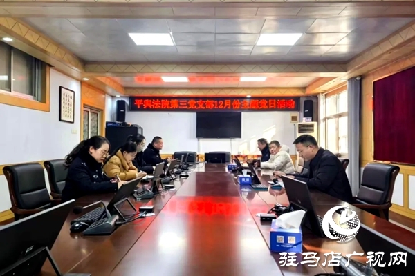 平舆县人民法院开展“深化理论学习,凝聚奋进力量”主题党日活动
