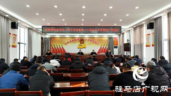 平舆县射桥镇:深学精神聚共识 笃行实干促发展