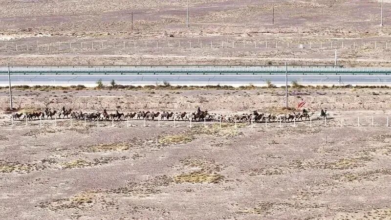 丝绸之路的味道，河南人都知道！