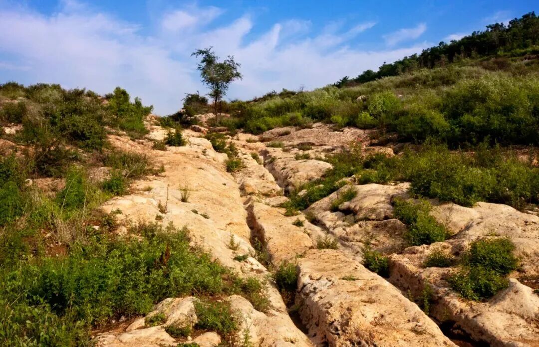 丝绸之路的味道，河南人都知道！