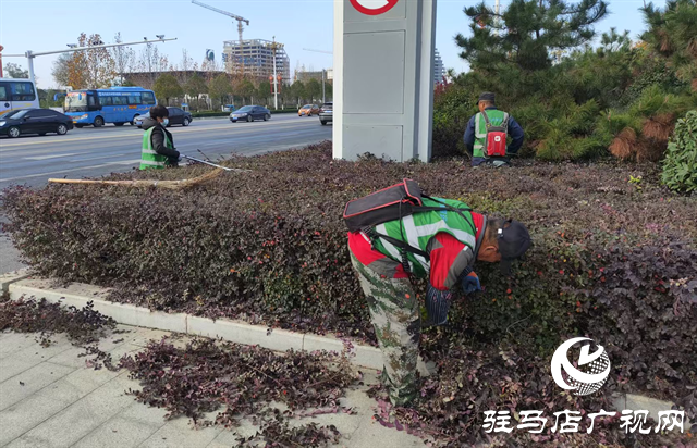  示范区城管局全面做好冬季环卫保洁工作