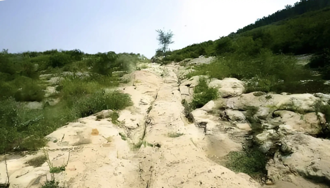 丝绸之路的味道，河南人都知道！