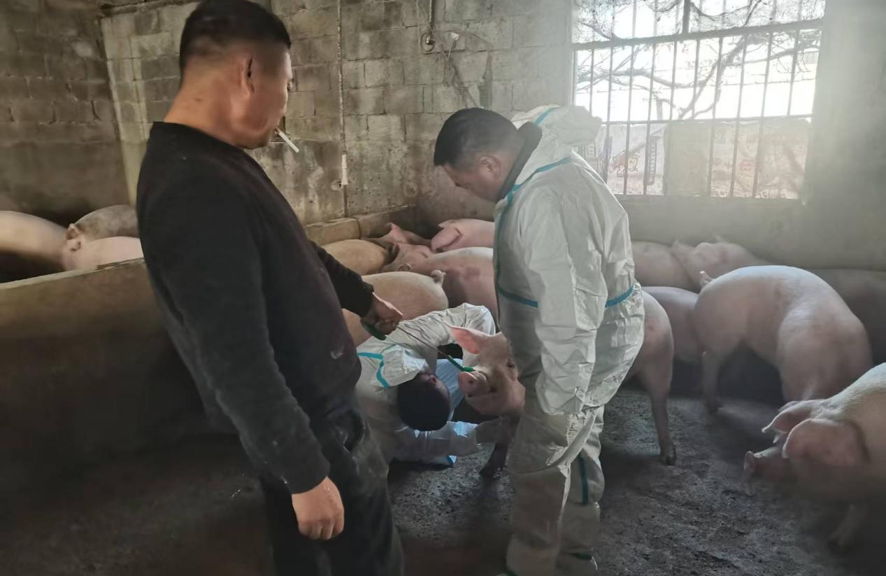 驻马店市动物疫病防疫检疫中心发布2026年元月份动物疫病预警预报