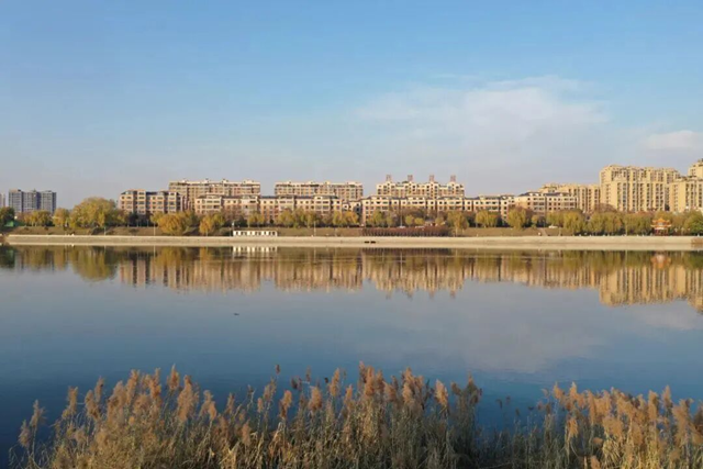 【大美天中】泌阳县南河公园：残荷芦苇绘就静谧画卷