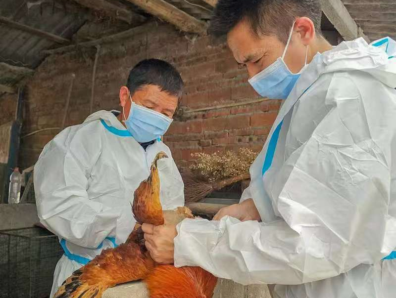 驻马店市动物疫病防疫检疫中心发布2026年元月份动物疫病预警预报