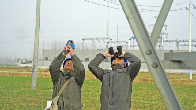 国网西平县供电公司:全力迎战雨雪冰冻筑牢电网安全防线
