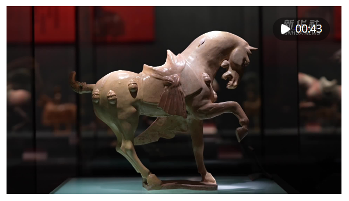 文旅新探｜郑州的马年“骐”遇