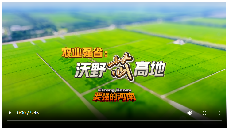 要强的河南，正在超级进化