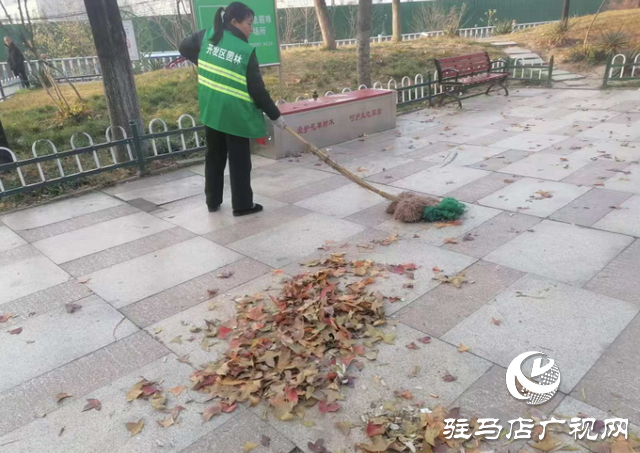  开发区城市管理事务中心：精细清掏靓容颜洁净绿化迎元旦