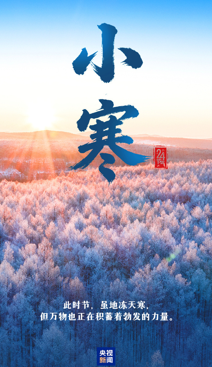 今日小寒 愿你心向暖阳 静待春归