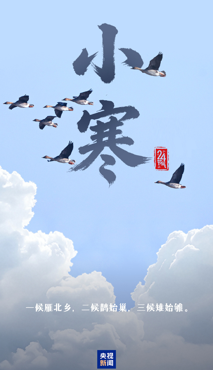 今日小寒 愿你心向暖阳 静待春归