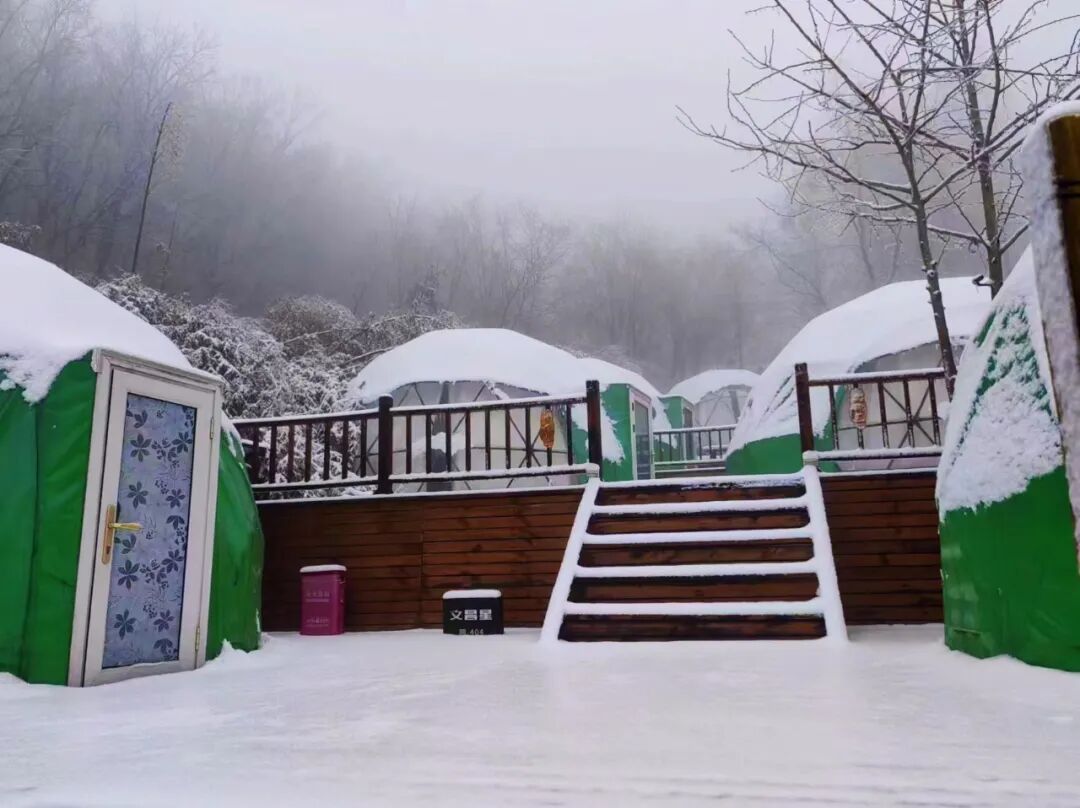 雪落无声,诗意满天中